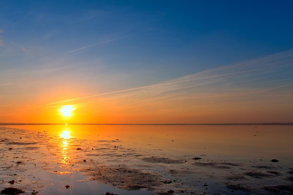 'T Strandhuys En De Vuurtoren, Met Eigen Keuken, Zonnig Terras Nabij Dorp, Duinen En Strand, Incl Verwarmd Binnen Zwembad ฮอลลุม ห้อง รูปภาพ