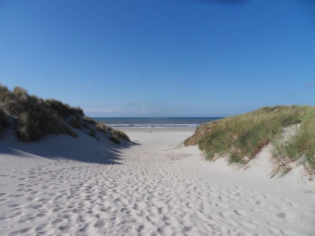 'T Strandhuys En De Vuurtoren, Met Eigen Keuken, Zonnig Terras Nabij Dorp, Duinen En Strand, Incl Verwarmd Binnen Zwembad ฮอลลุม ห้อง รูปภาพ
